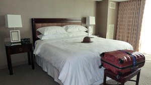 SHERATON VALLEY FORGE - KING OF PRUSSIA $151 ($̶1̶7̶9̶) - Updated