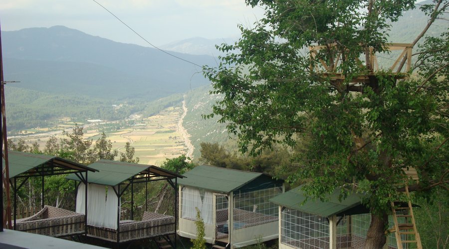 Manzara