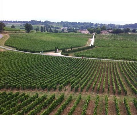 bordeaux sip wine tours