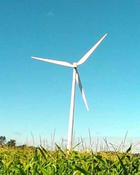 Bowling Green Wind Farm image