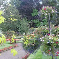 Walled Garden again