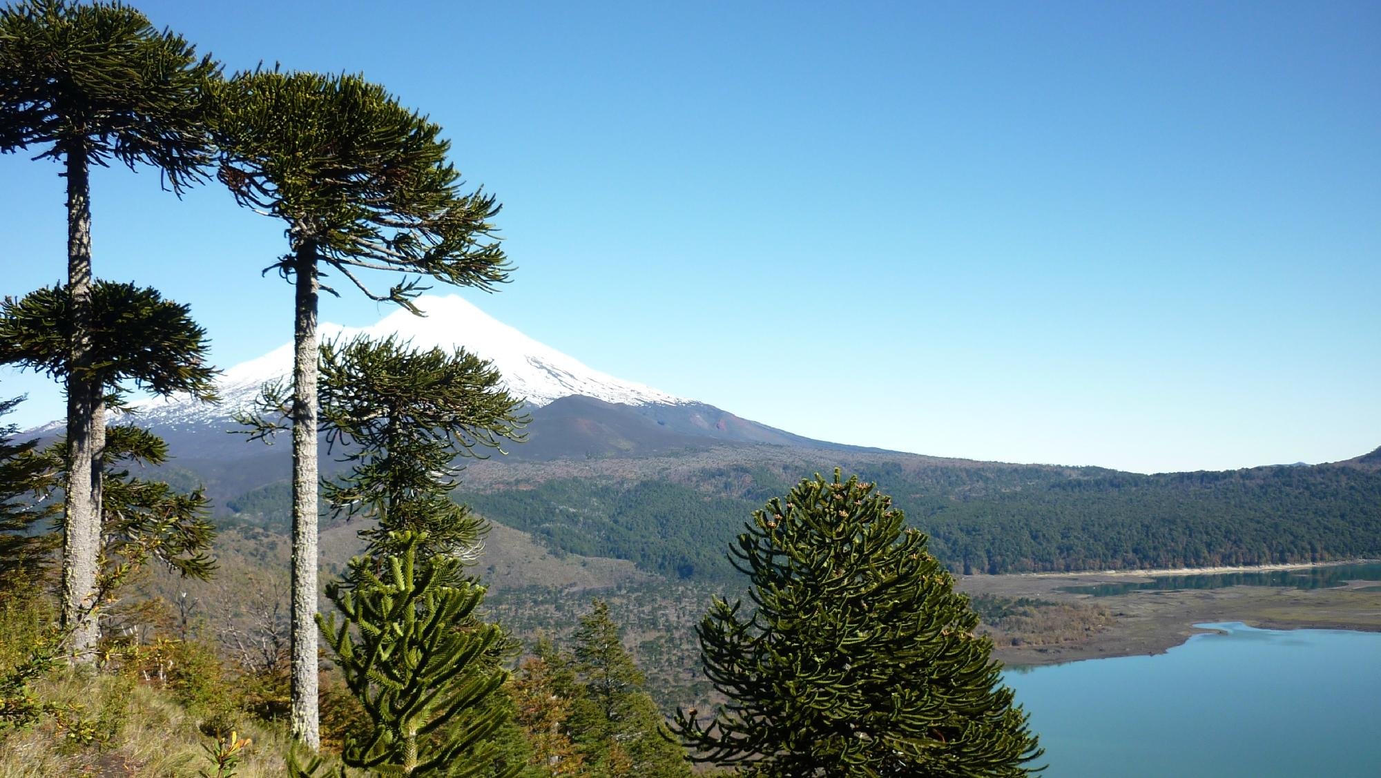 Lodge Conguillio by null