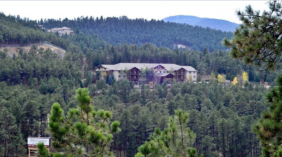 Nestled in the Pines