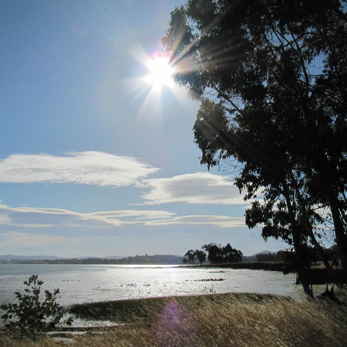 are dogs allowed at point pinole ca