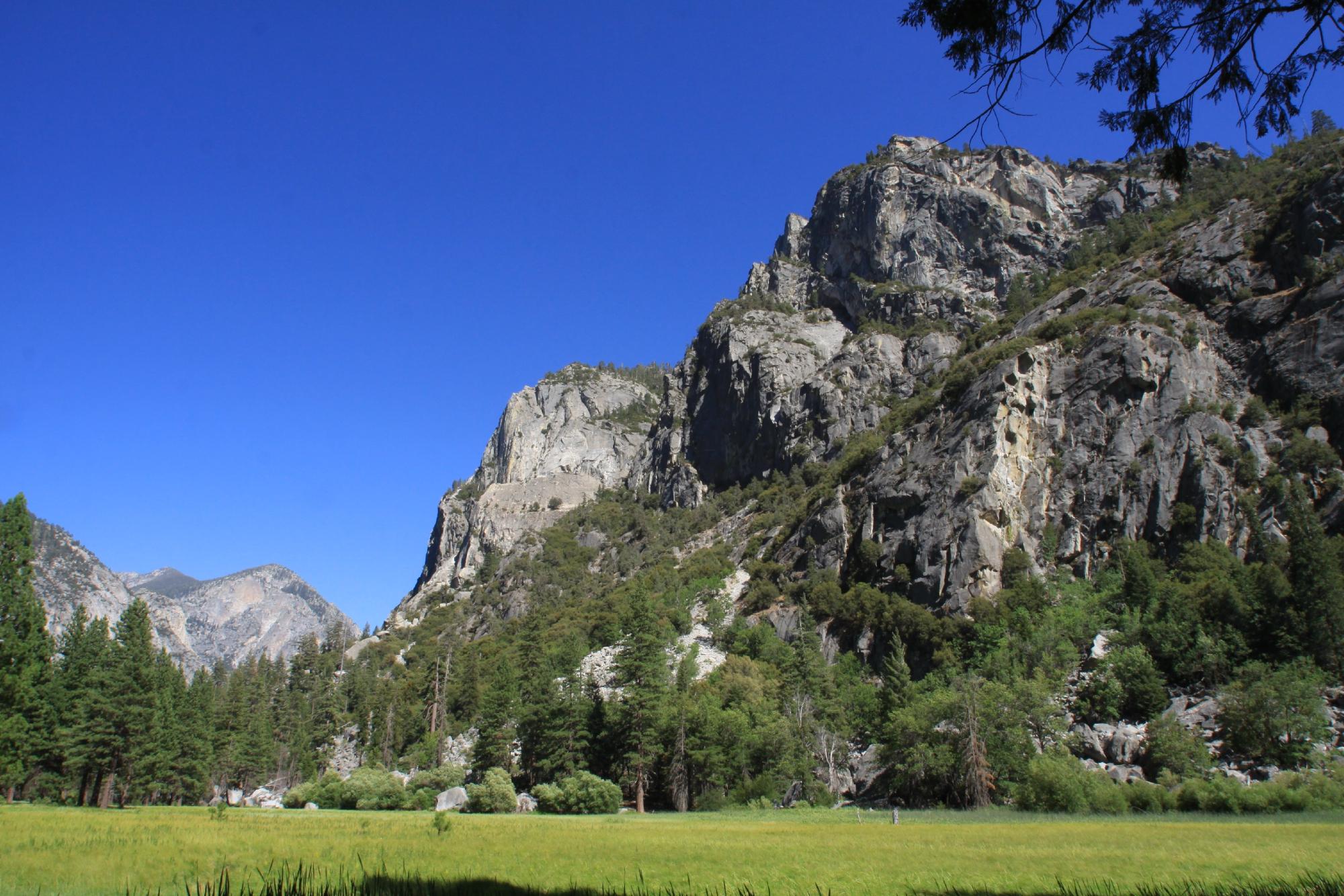 Zumwalt shop meadow loop