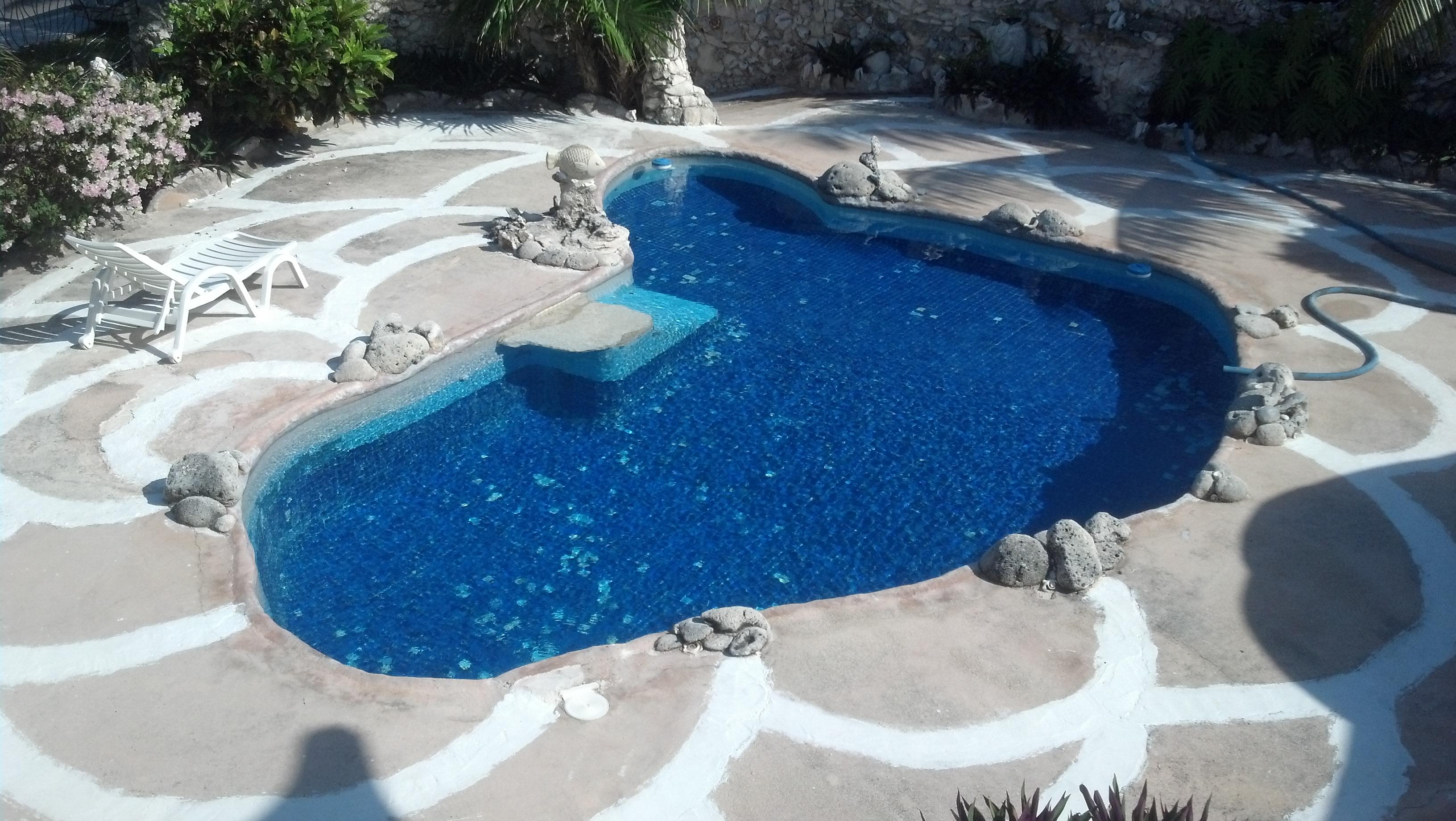 THE SHELL HOUSE Guest House Reviews Isla Mujeres Mexico   Pool View 