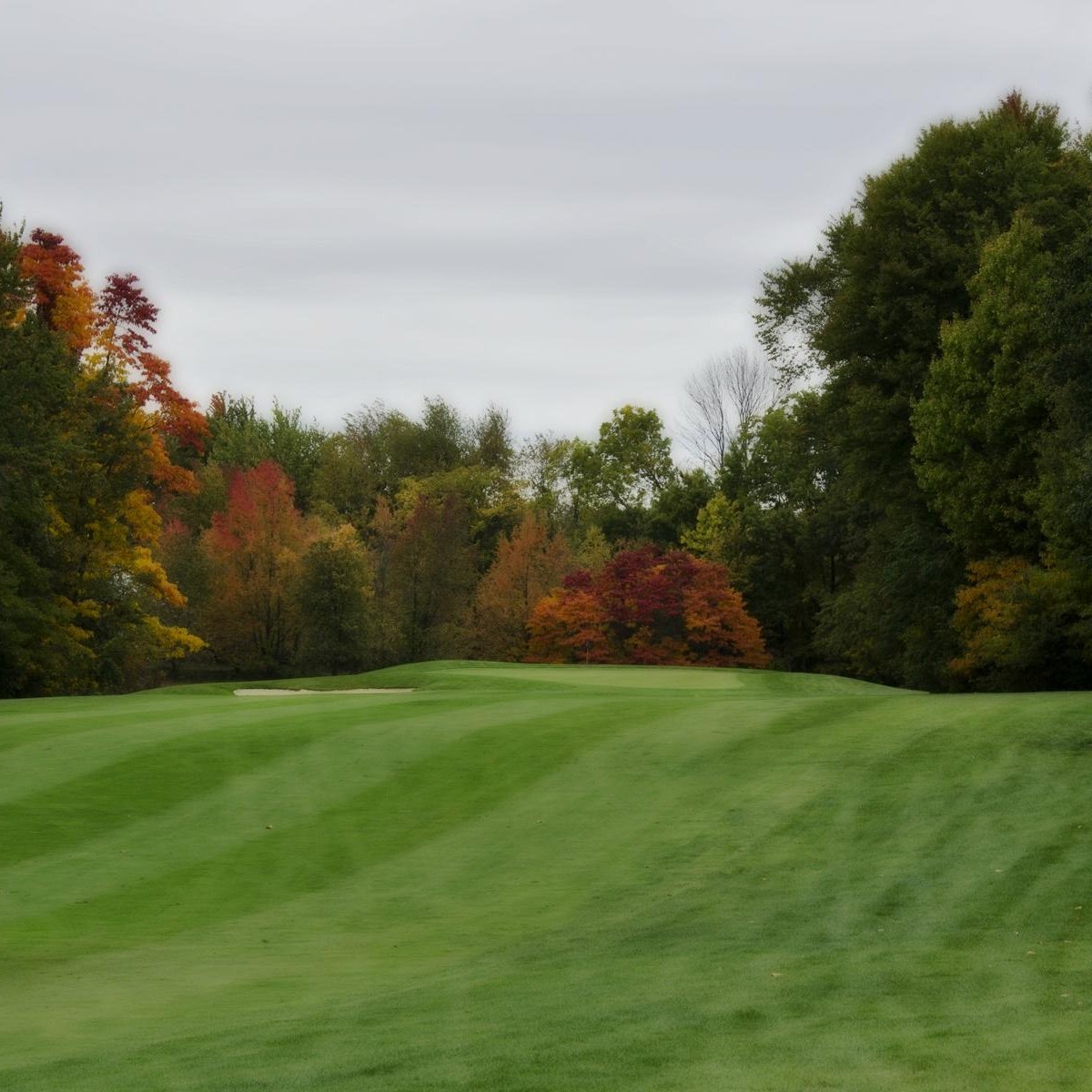 Bella Vista Golf Course (Coldwater) All You Need to Know BEFORE You Go