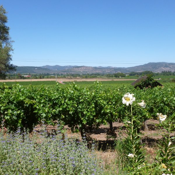 St. Helena, Ca 2024: Best Places To Visit - Tripadvisor