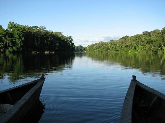 Amazon Tours Perú - All You Need to Know BEFORE You Go (2024)