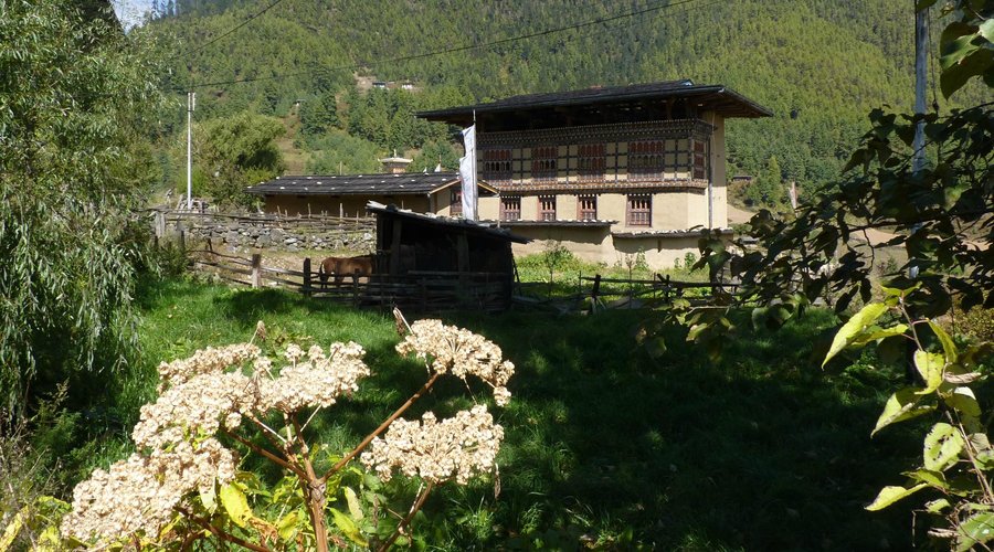 Lodge