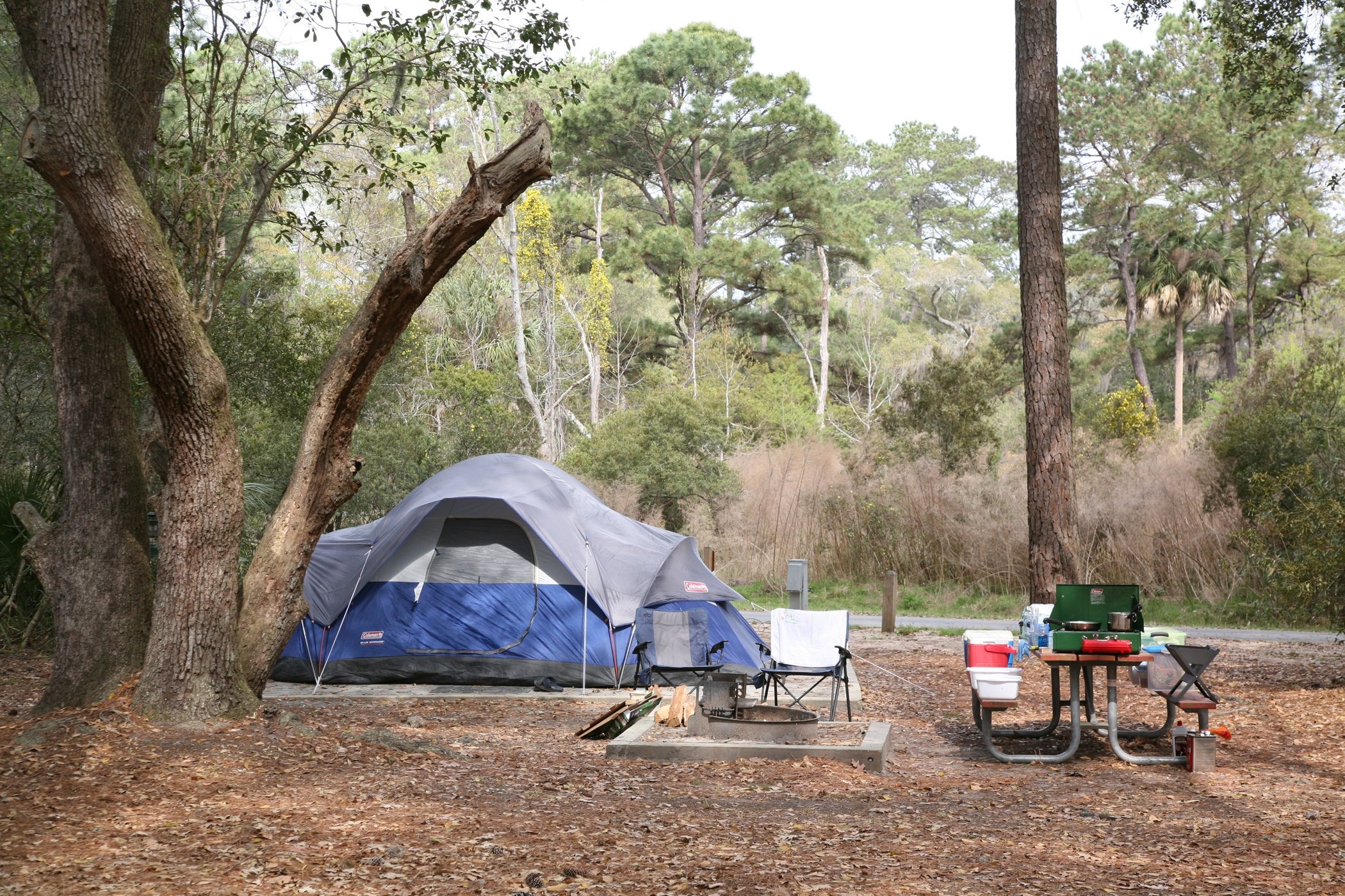 Skidaway Island State Park by null