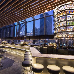 Hyatt Regency Chicago, hotel in Chicago