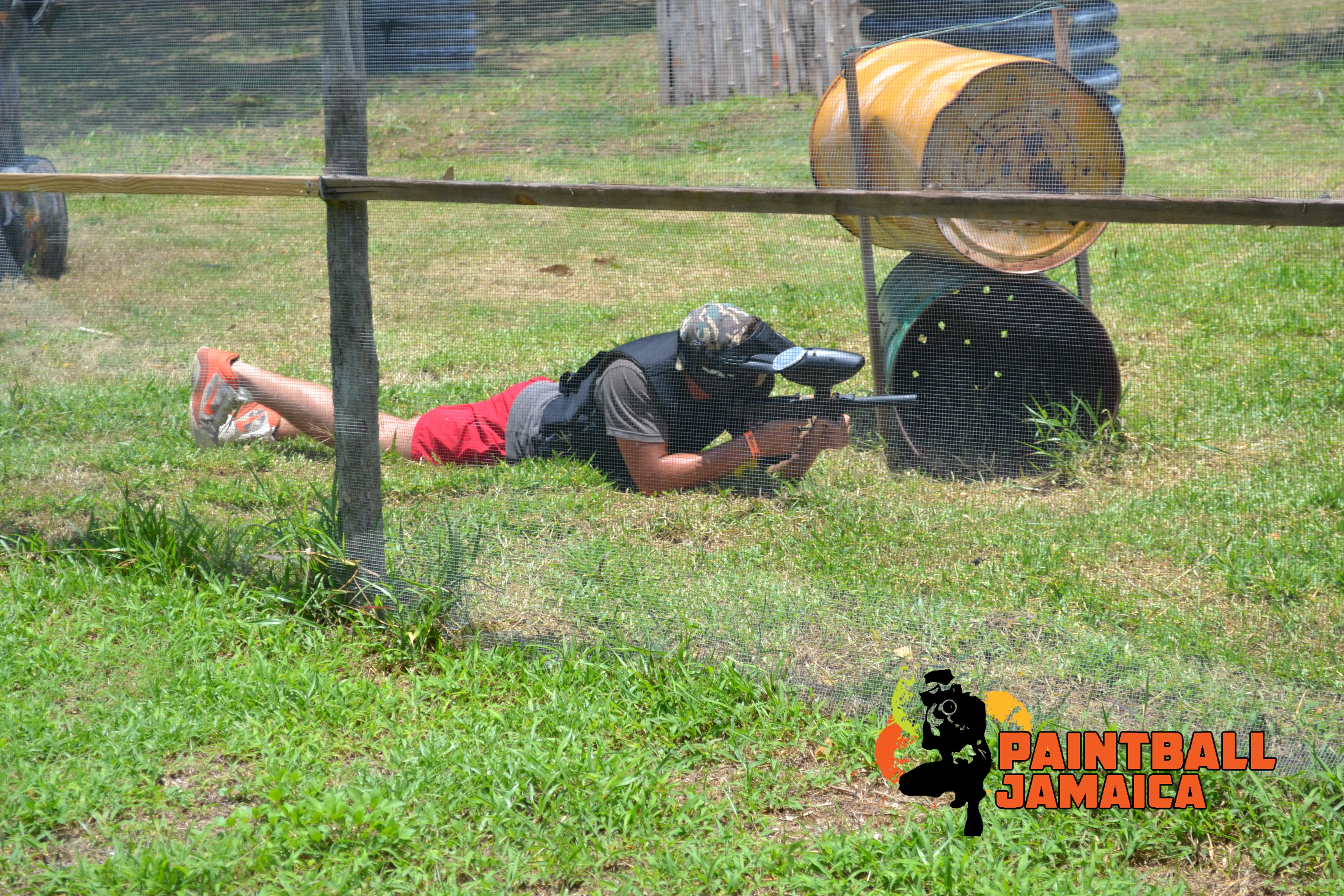 Paintball Jamaica Falmouth All You Need To Know BEFORE You Go   Paintball Jamaica 