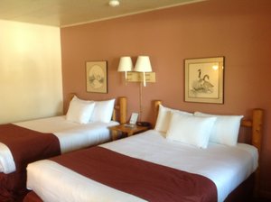 Phòng & Phòng Suite