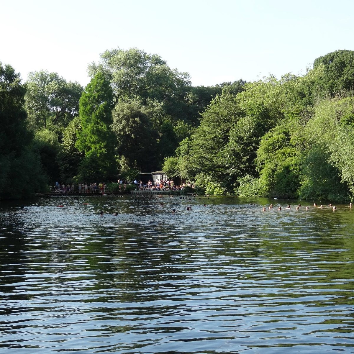 Highgate Bathing Pond - All You Need to Know BEFORE You Go (2025)