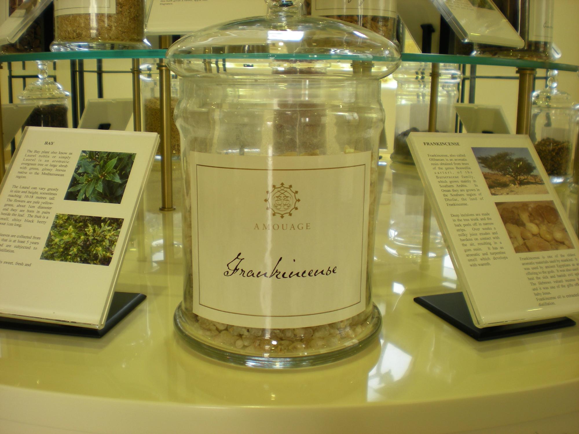 Amouage Perfumery All You Need to Know BEFORE You Go 2024