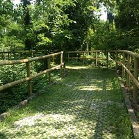 Pista Ciclabile
