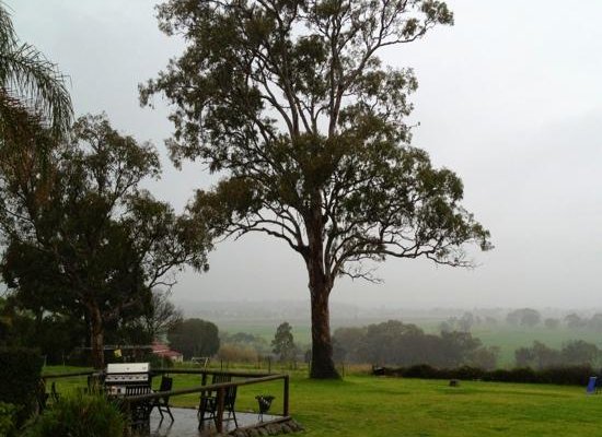 View from our room in a mist morn .. by Noelene
