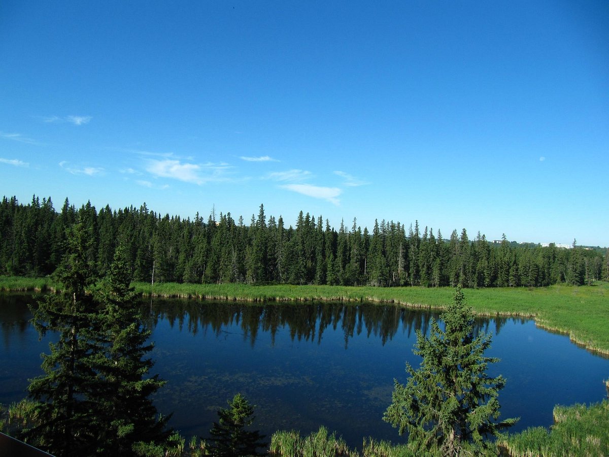 KERRY WOOD NATURE CENTRE - All You Need to Know BEFORE