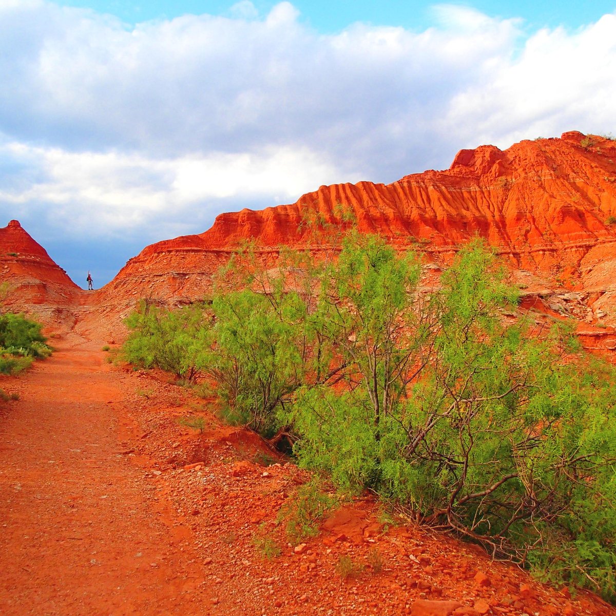 Caprock Canyons State Park (Quitaque) ATUALIZADO 2022 O que saber