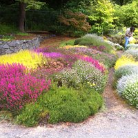 Connie Hansen Gardens