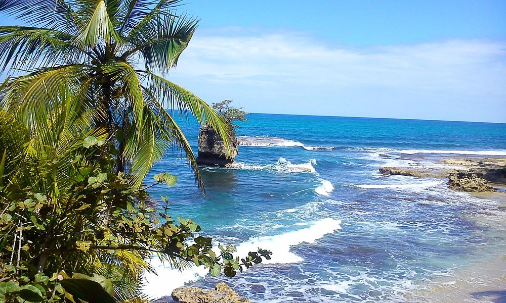 Limón Costa Rica Tourismus In Limón Tripadvisor 7493