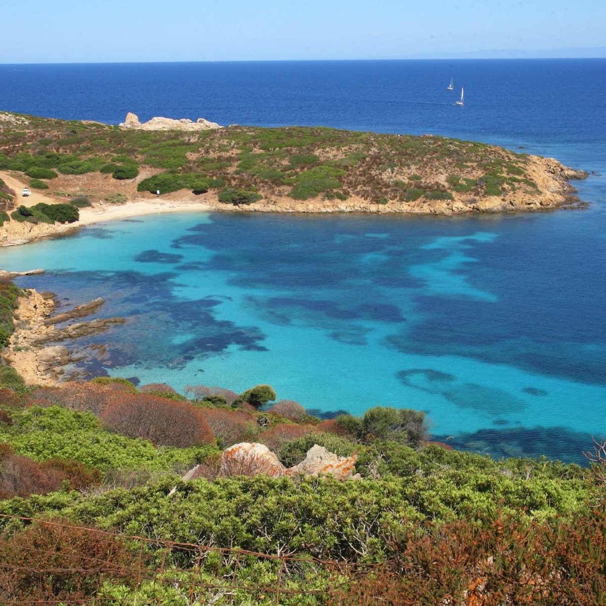 Wild Asinara Park (Sassari): All You Need to Know BEFORE You Go