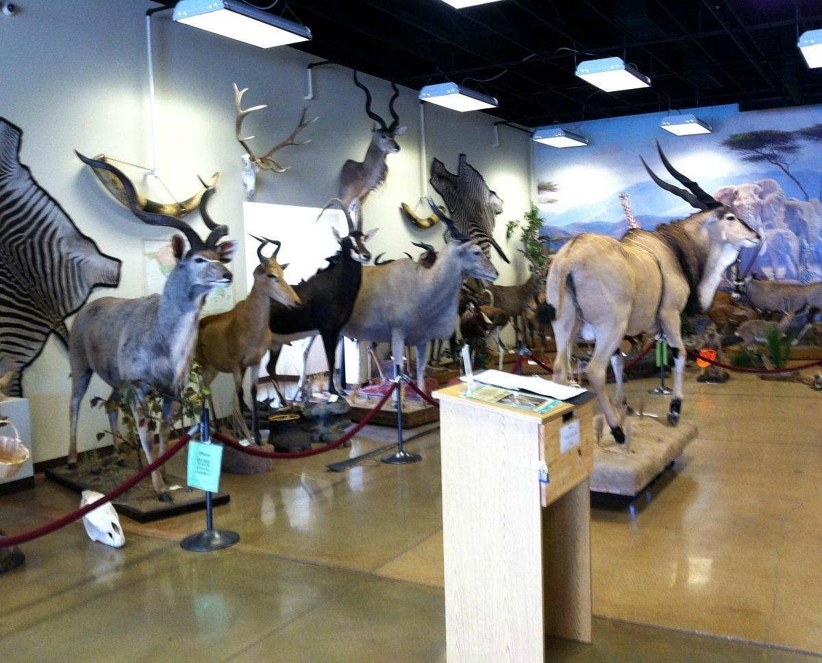 Lindsay wildlife museum