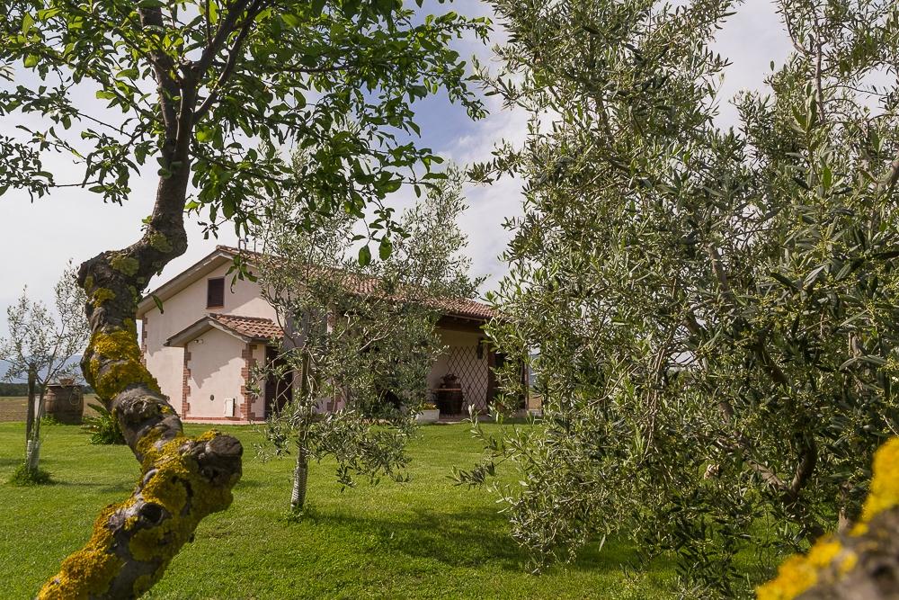 AGRITURISMO IL RUSTICO - Updated 2024 Prices, Reviews, And Photos