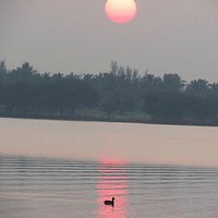 This is available in Unkal Lake every evenings..