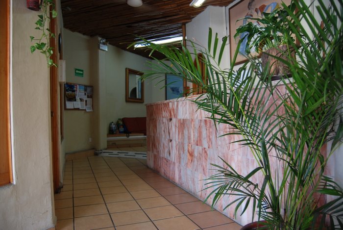 Imagen 3 de Hotel Alux Cancun
