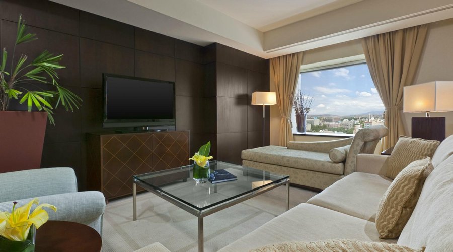 SUITE GOBERNADOR LIVING