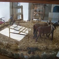 museum display