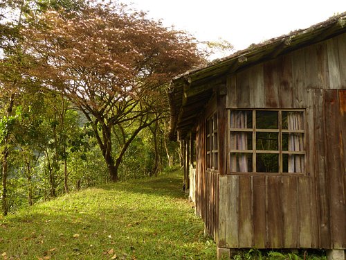 INTAG CLOUD FOREST RESERVE LODGE - Prices & Reviews (Santa Rosa, Ecuador)