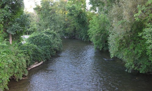 Gladwin 2021: Best of Gladwin, MI Tourism - Tripadvisor