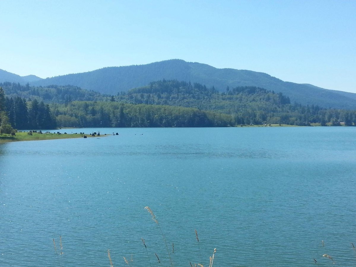 Co znamená Alder Lake?