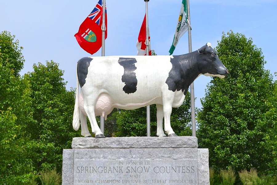 Springbank Snow Countess Monument image
