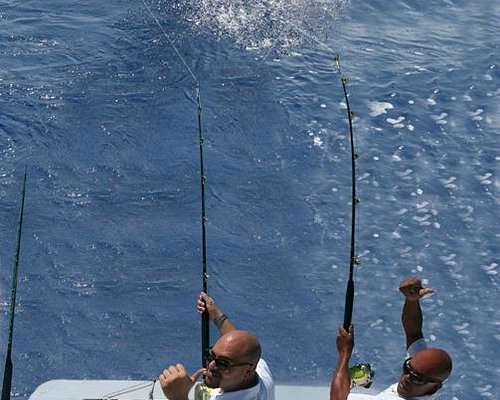 La pesca a luglio  Saltwater fishing, Trolling fishing, Offshore fishing