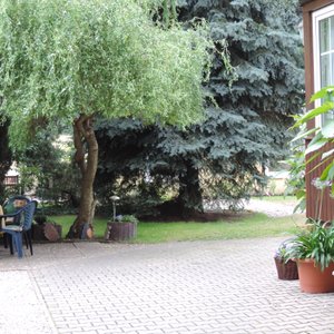 Patio area at Pension Helga Trauschke