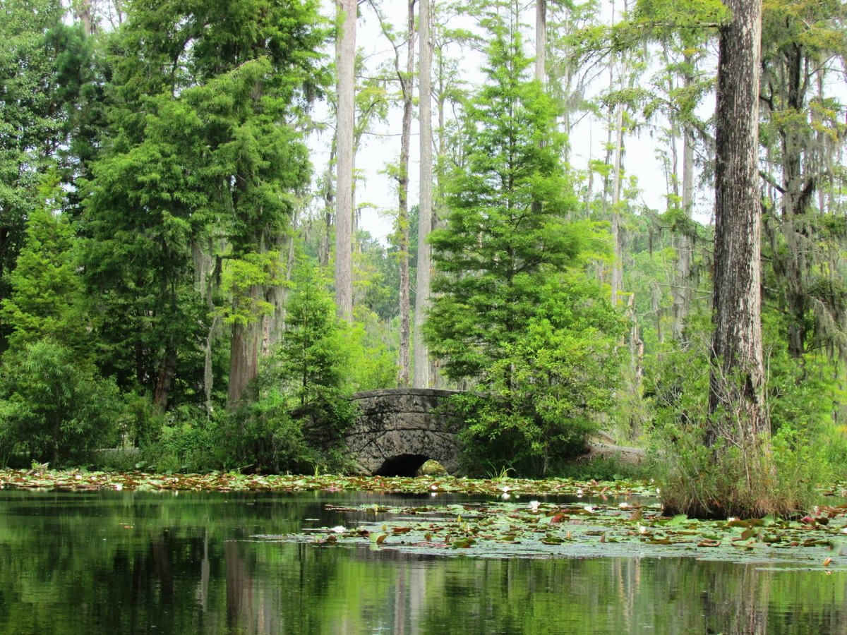 Cypress Gardens (Moncks Corner) All You Need to Know BEFORE You Go