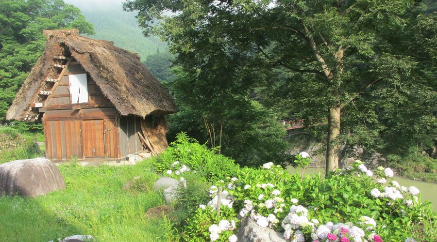 Vue sur l'arrière du ryokan