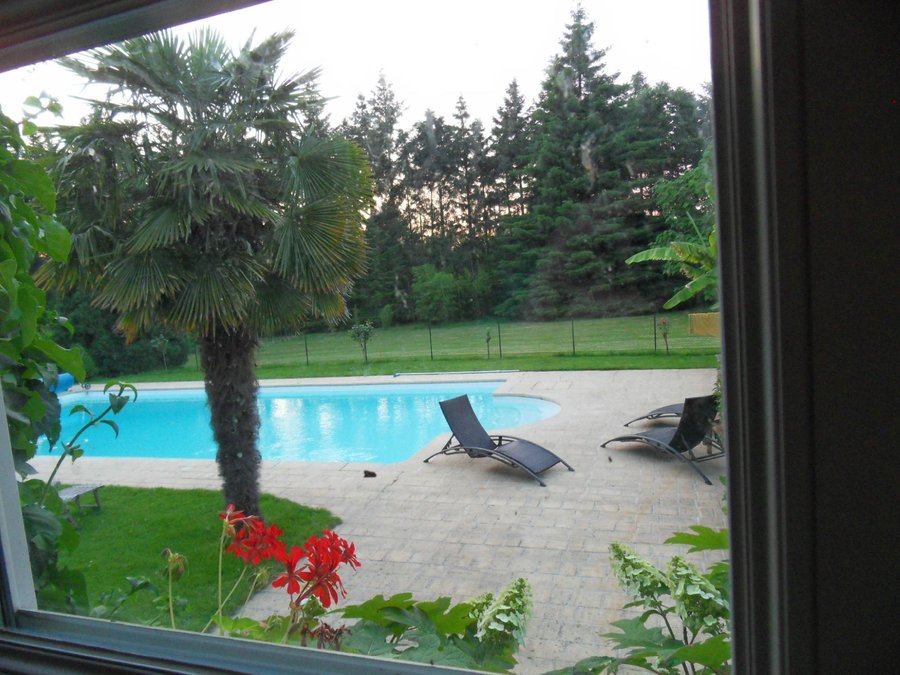 Le Chat Courant Pool Pictures Reviews Tripadvisor