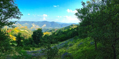 il panorama