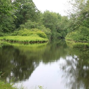From the quiet area