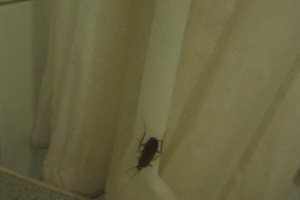 Room & Suite