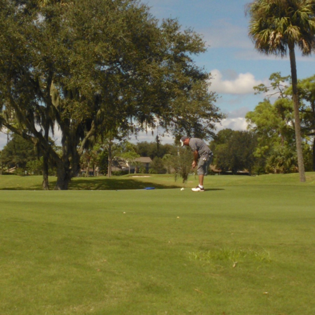 NEW SMYRNA BEACH GOLF COURSE Ce qu'il faut savoir