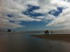 sandytoesandsun