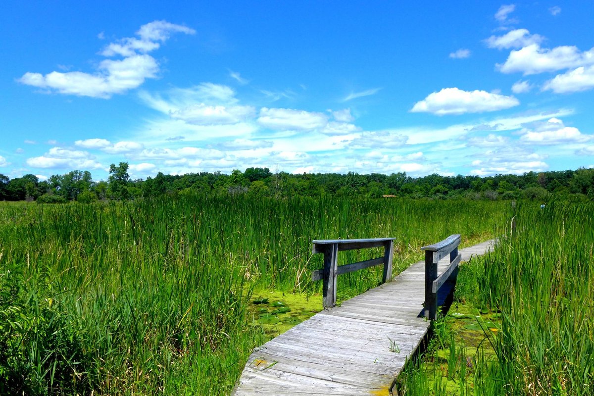 Escape To Nature’s Playground: Your Guide To Moraine Hills State Park