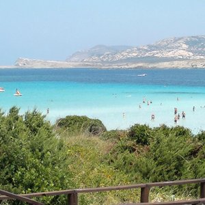 La Pelosa