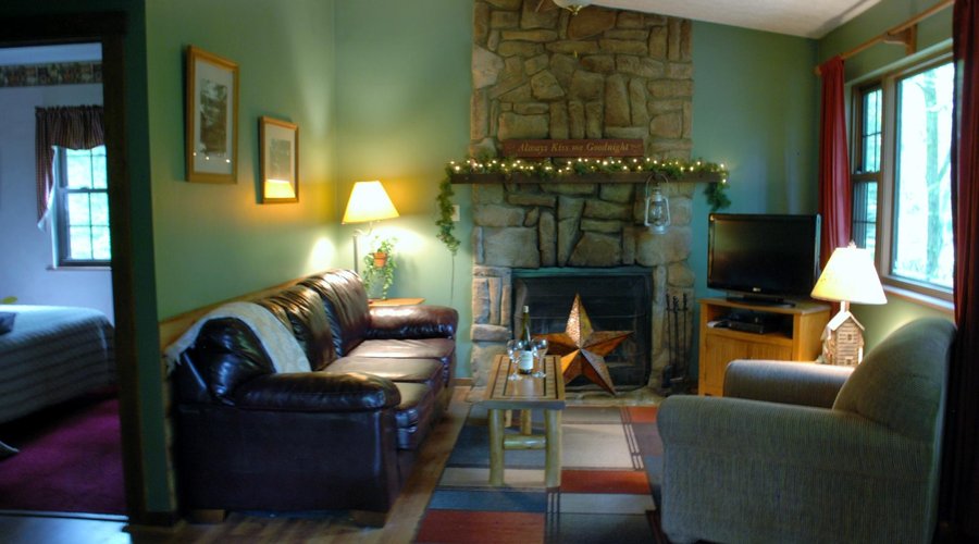 Living room with wood burning fireplace